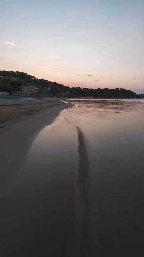 Plage au petit matin, le sable mouillé reflétant le ciel rose devant une colline boisée.