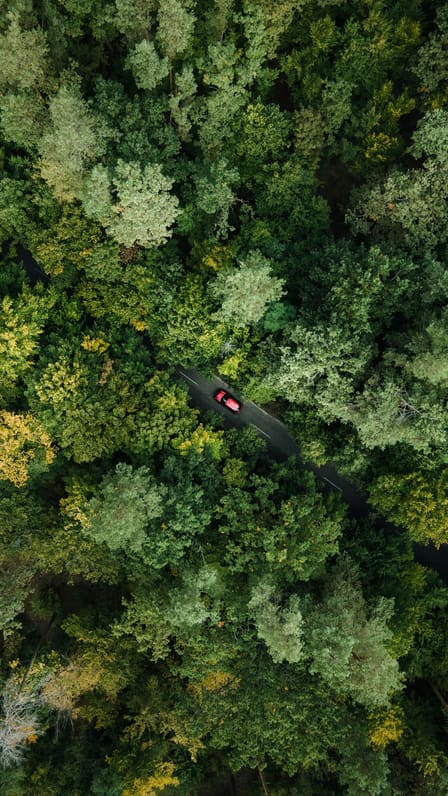 Vue aérienne à la verticale d'une voiture rouge sur une route qui traverse une forêt dense.